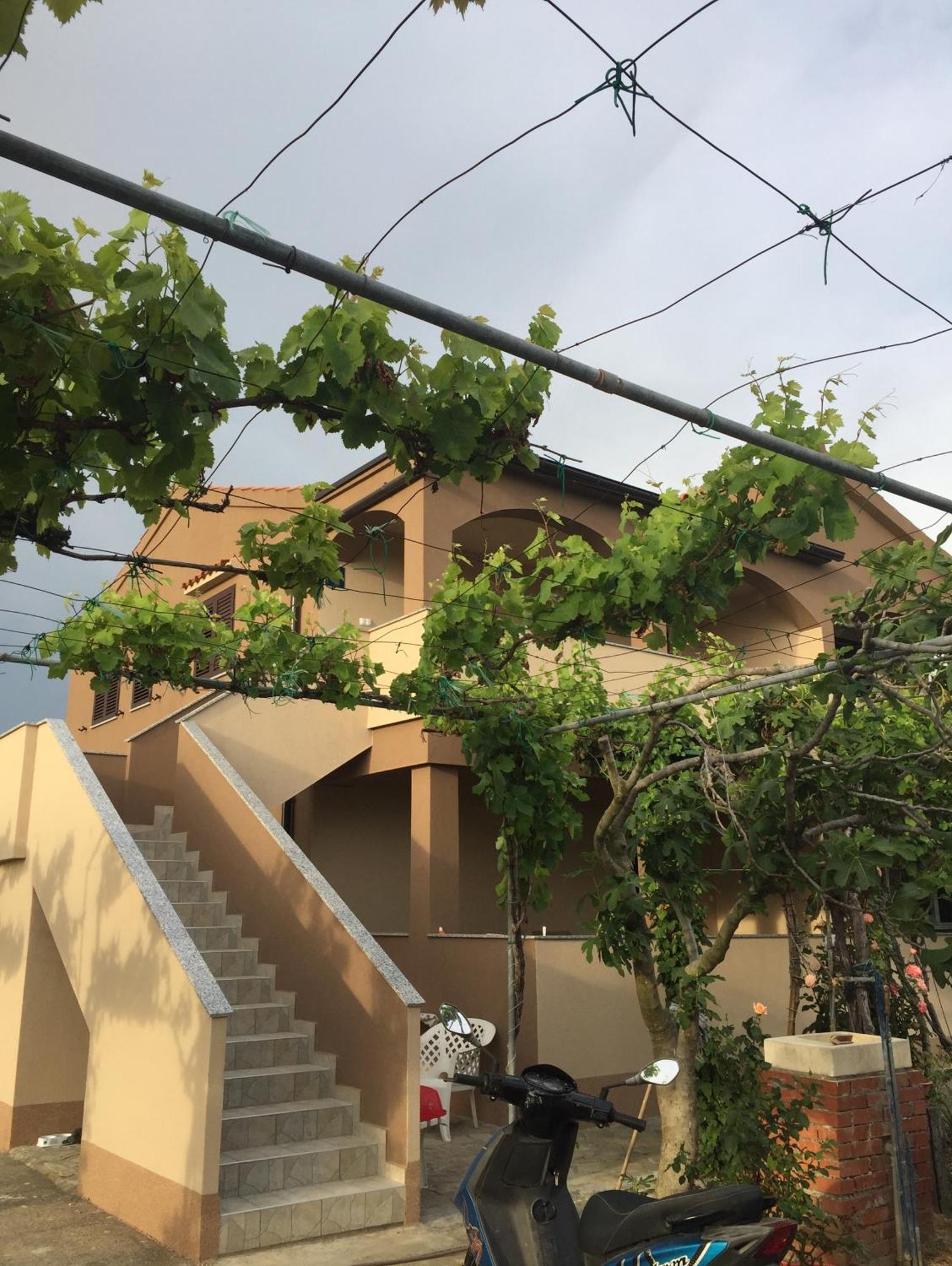Apartments Anka Nin Dış mekan fotoğraf